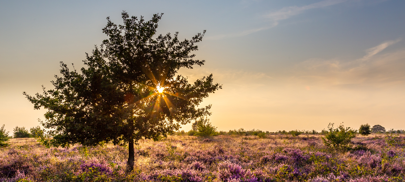 Natuur